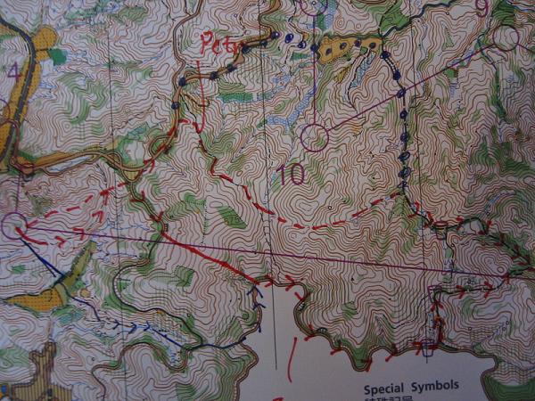 Route Choice 2